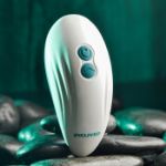 Picture of PALM PLEASURE