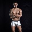 Picture of BOXER FLASHY SILVER - OS