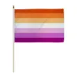 Picture of LESBIAN SUNSET STICK FLAG 12' X 18'