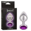 Picture of JEWEL AMETHYST PLUG - L