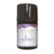 Picture of EMBRACE TIGHTENING PLEASURE SERUM