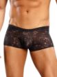 Picture of Male Power Stretch Lace Mini Short Black - Small