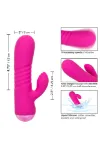 Picture of Calexotics - Thicc Chubby Honey - Pink
