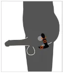 Picture of REBEL - Rotating Butt Plug 