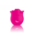 Picture of Zen Rose - Hot Pink