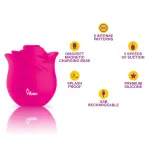 Picture of Zen Rose - Hot Pink