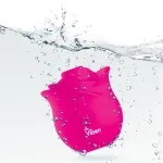 Picture of Zen Rose - Hot Pink