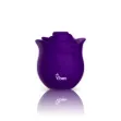 Picture of Zen Rose - Violet