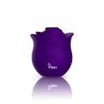 Picture of Zen Rose - Violet