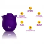 Picture of Zen Rose - Violet