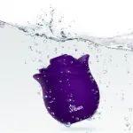 Picture of Zen Rose - Violet