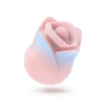 Picture of Blush - The Kissing Rose
