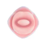 Picture of Blush - The Kissing Rose