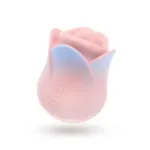 Picture of Blush - The Kissing Rose