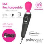 Picture of Palmpower - Extreme Wand - Pink